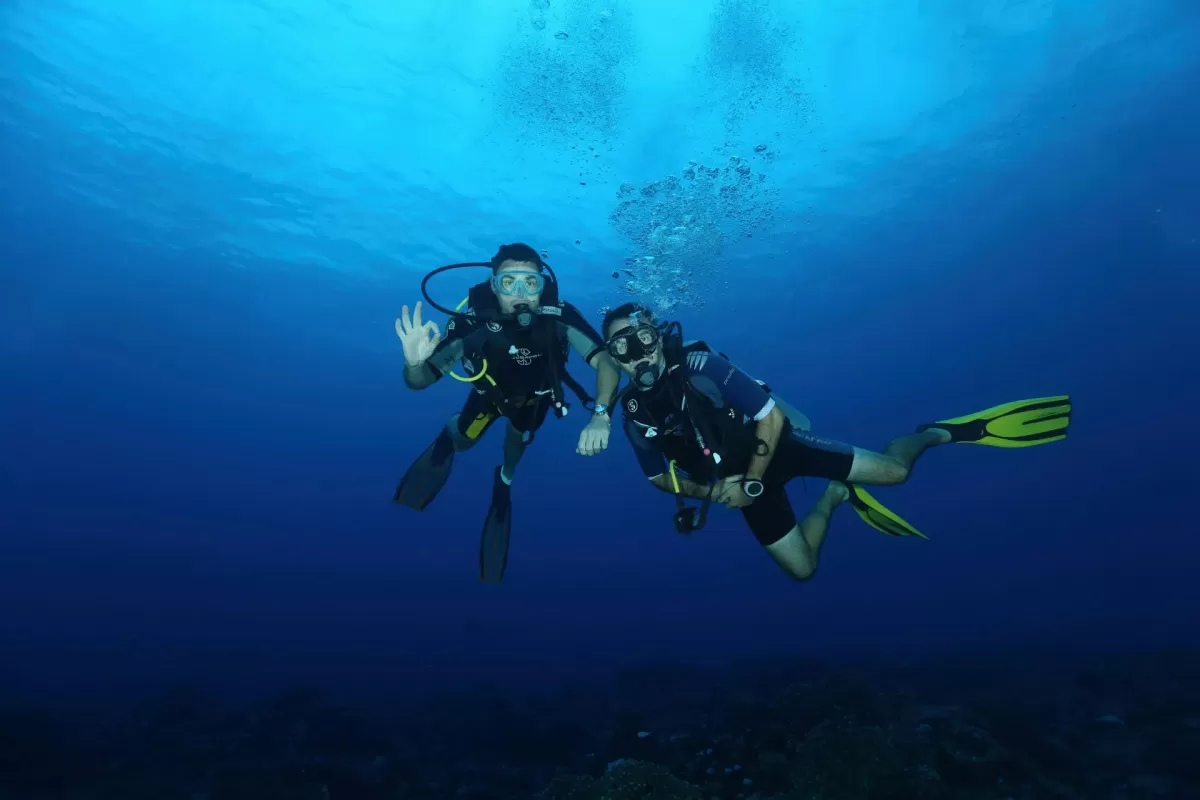Surf & scuba